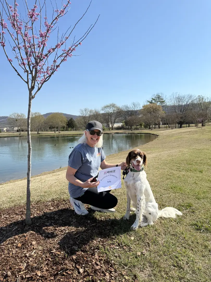 dog training huntsville alabama